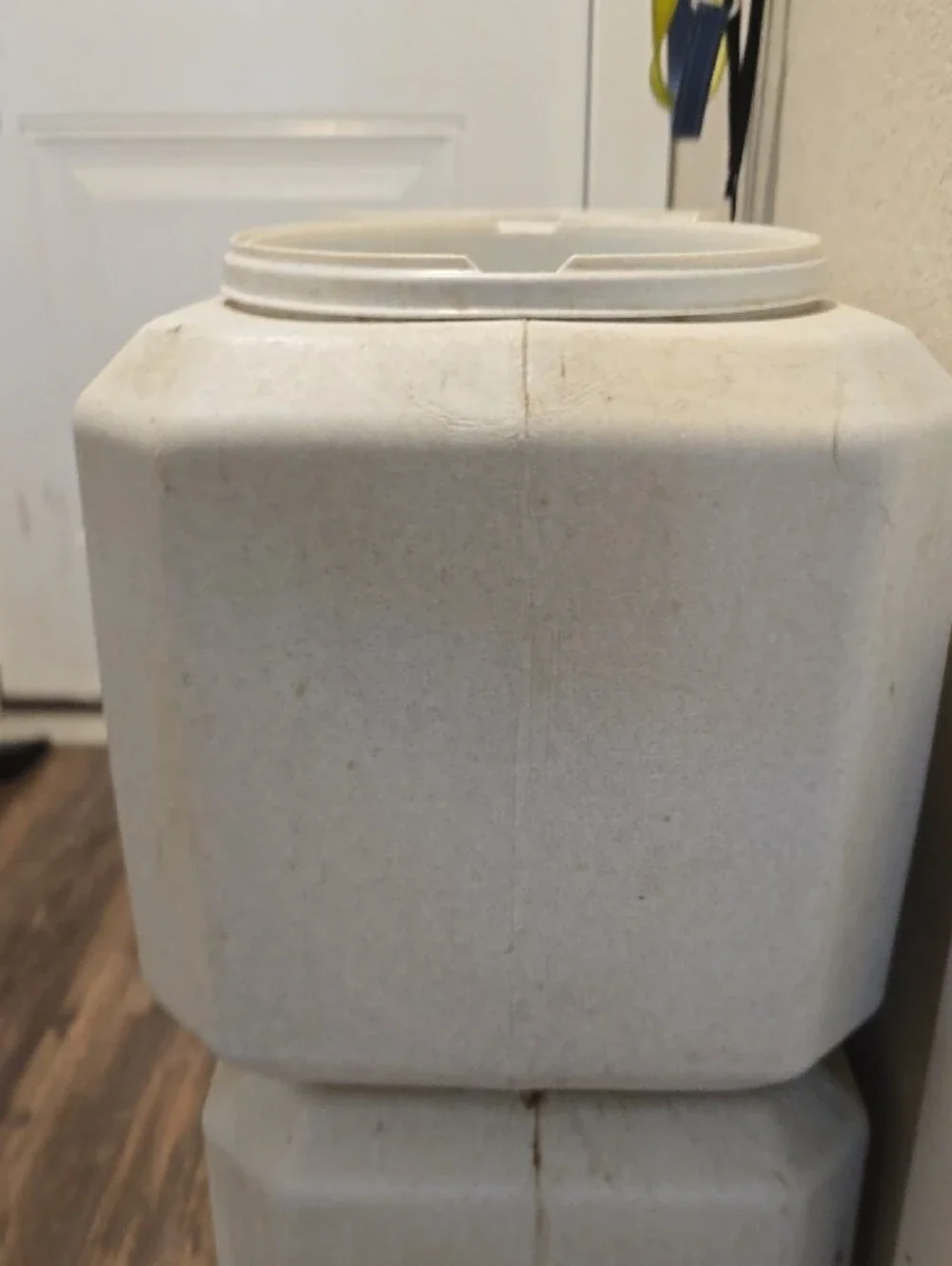 Durable Dual Dog Feeder Bowl in Off-White
